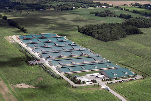 Hefei Head Plant Pot Co.,Ltd