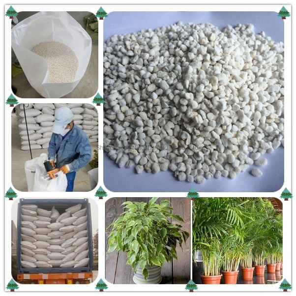 Flower Gardening Plant Substrate Expanded Perlite for Succulents