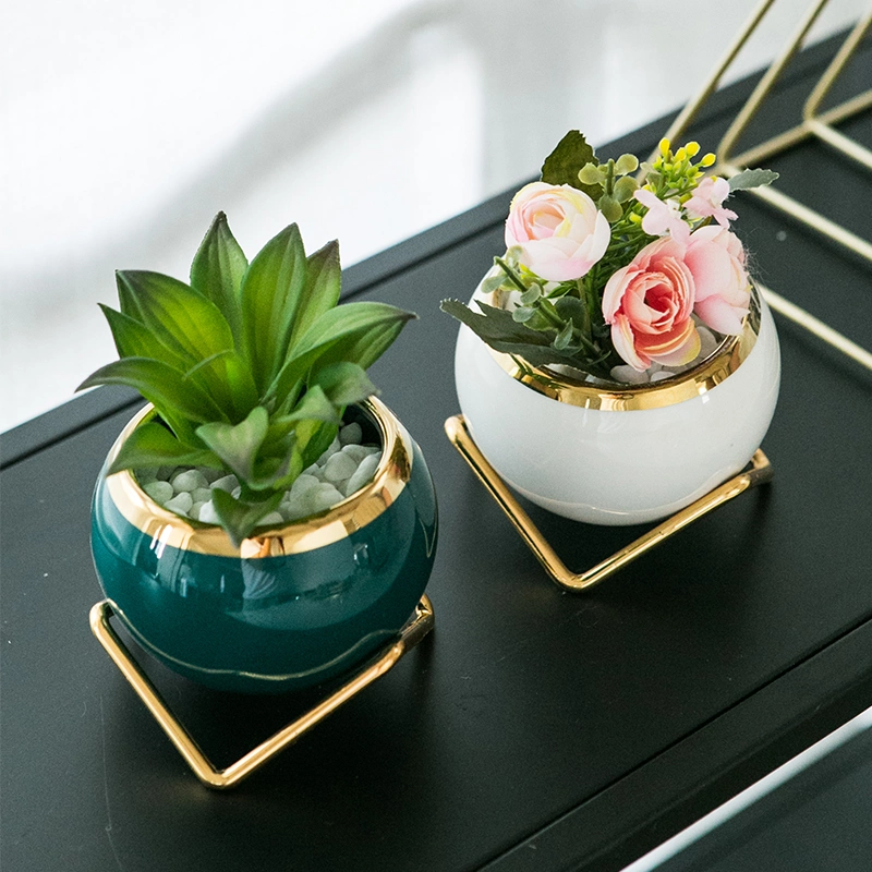 New Arrival Home Garden Hotel Decor Ceramic Mini Cactus Small Succulent Pot in Stock