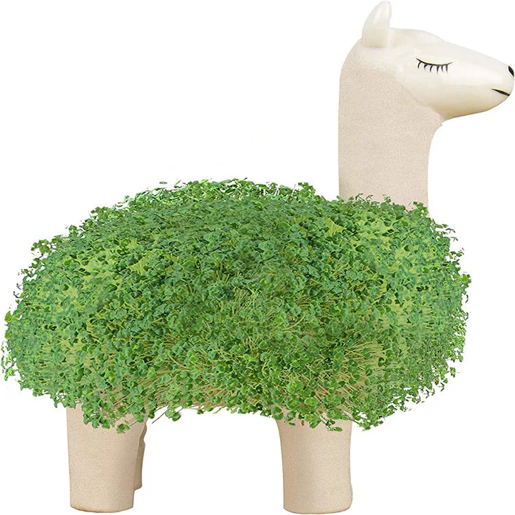 Animal 5&quot; Chia Pet Terracotta Dunny Art Figure Plant Pot
