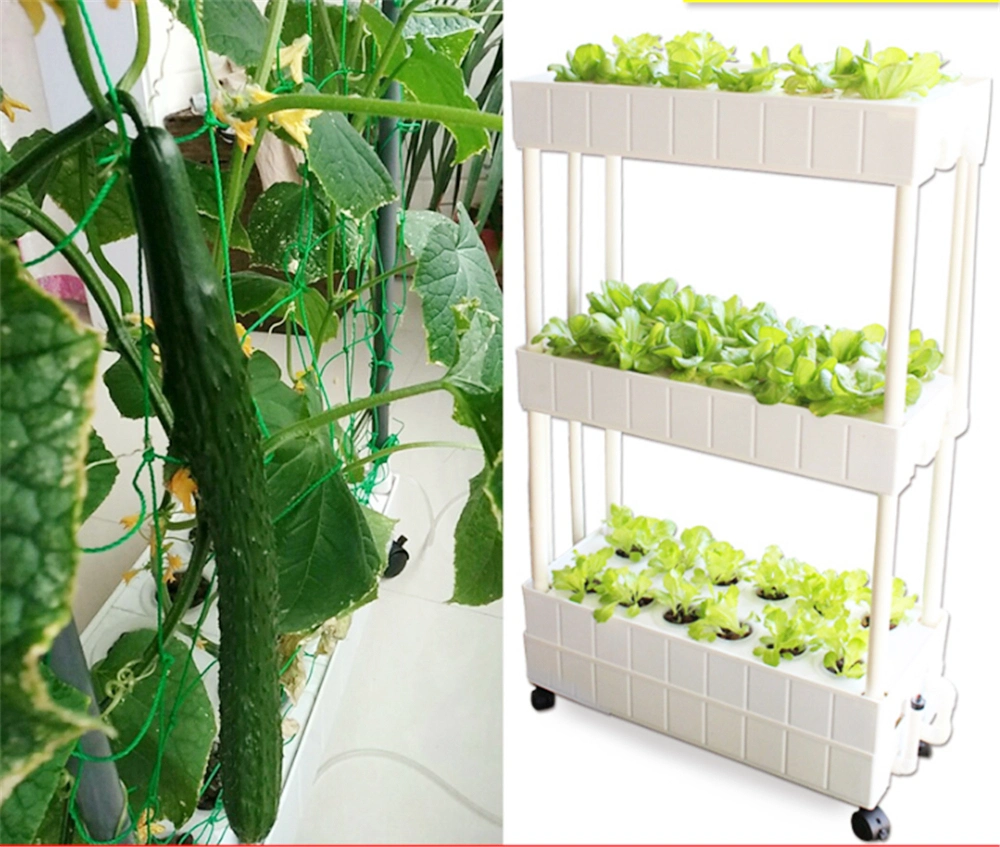 LED Indoor Growing System Smart Garden Vegetables Hydroponics Intelligent Planter