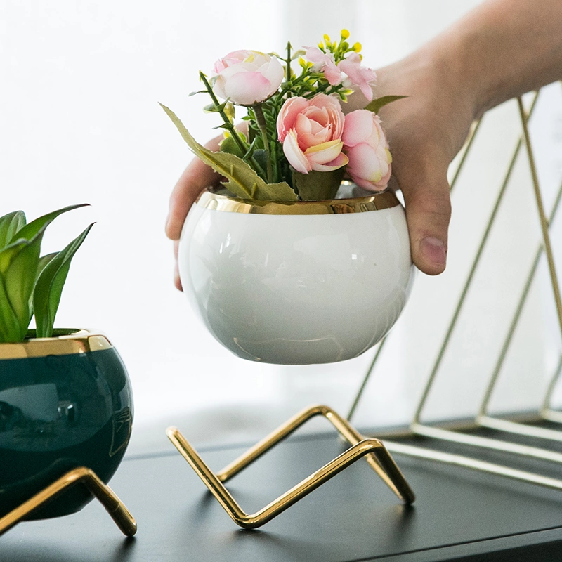 New Arrival Home Garden Hotel Decor Ceramic Mini Cactus Small Succulent Pot in Stock
