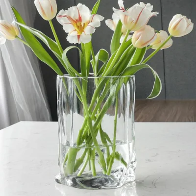 Glass Irregular Decorative Vase Flower Plant Containers Ci22603