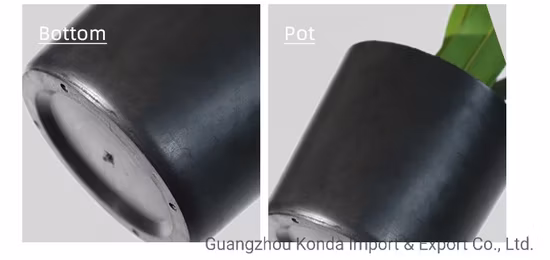 Manufacture Plastic Green Real Touch Bonsai Large Artificial Succulent Tropical Agave