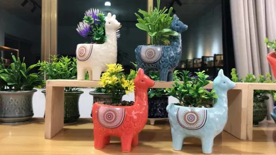 New Design Animal Shape Ceramic Pot with Plant Samll Succulent