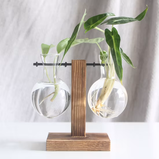 Glass Irregular Decorative Vase Flower Plant Containers Ci22603