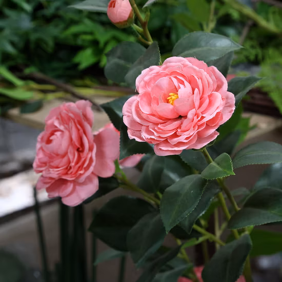 Concrete Head Flower Pots Plant Pots with Face Succulent Flower Pots & Planters Plants