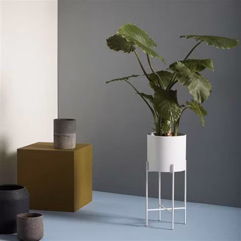 Mini Succulent Planters, Cactus Pots with Wooden Cement Pot